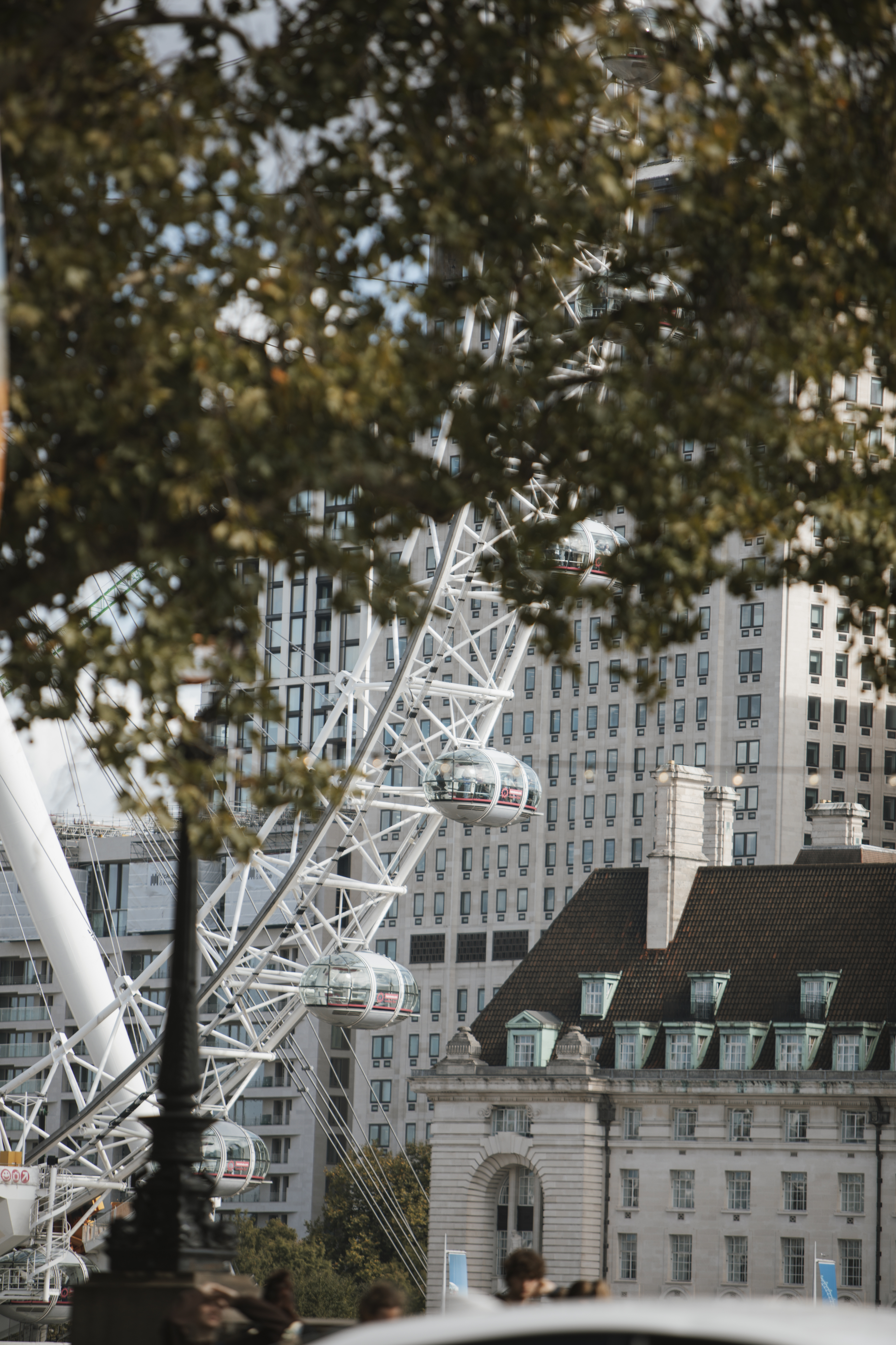 London Eye through foliage